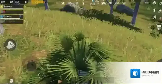 绝地求生如何身上用草隐蔽