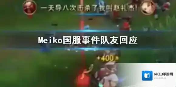 Meiko国服事件队友回应 Meiko国服事件涉事中单道歉