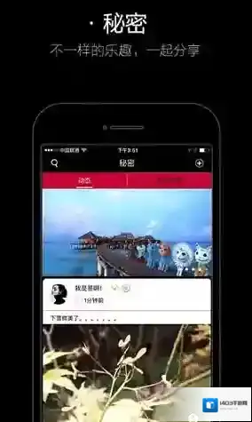 秘密花园全关卡攻略分享