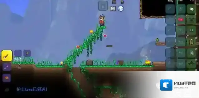 泰拉瑞亚初期应该注意到的事项