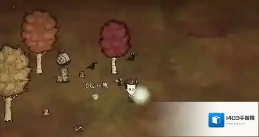 饥荒萌新教学秋季探索采石场