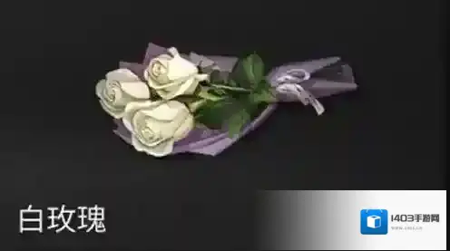 《明日之后》白玫瑰获得的技巧分享