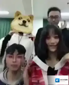 《天天P图》超萌单身狗玩法介绍