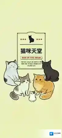 猫咪天堂2角色初始值培养推荐
