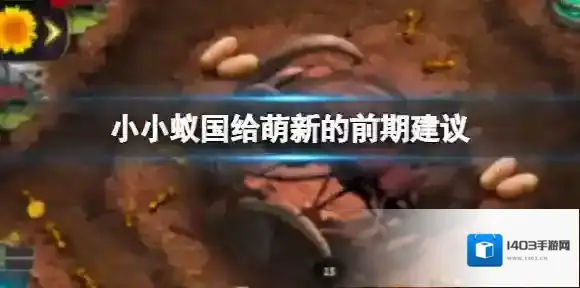 小小蚁国给萌新的前期建议 萌新前期攻略指南