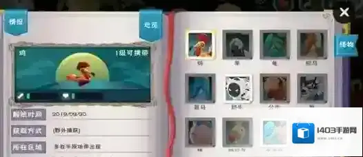 创造与魔法鸡在哪里多