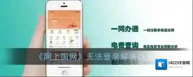 《网上国网》无法登录解决办法