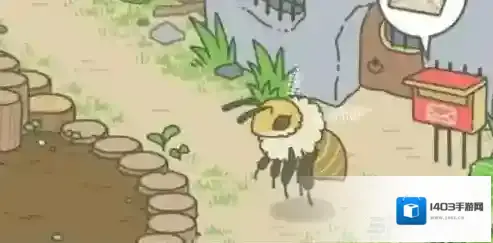 旅行青蛙蜜蜂如何来 蜜蜂出现方法详解