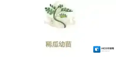 妄想山海稀瓜种子怎么合成 幼苗获取方法详解